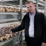 Mężczyzna w czarnej kurtce stoi obok regałów pełnych pieczarek w hali produkcyjnej.