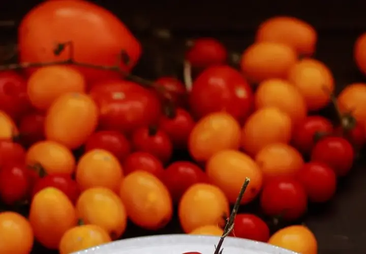 Prosty przepis na spaghetti ze świeżych pomidorów, które zachwyci smakami