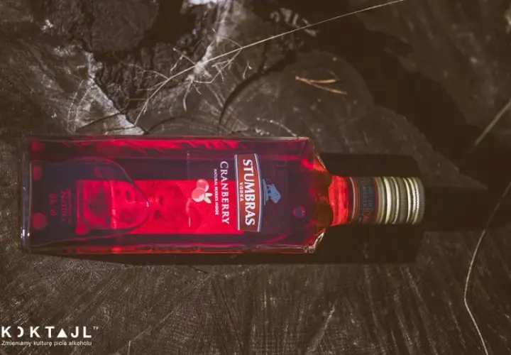 Pyszne drinki z wódki żurawinowej, które musisz spróbować
