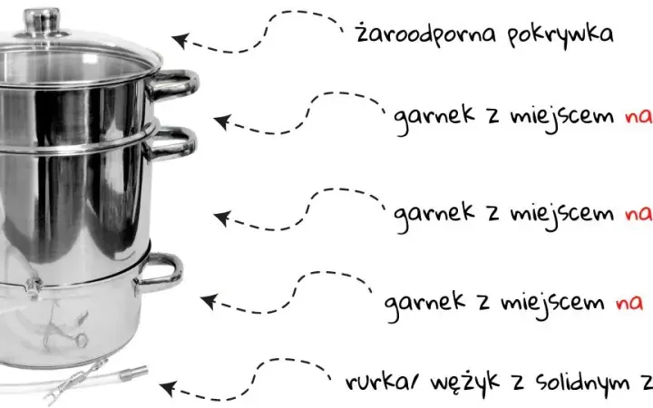 Jak zrobić sok z aroni w sokowniku - proste kroki do smaku zdrowia