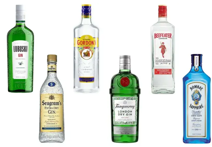 Jaki gin do drinków - wybierz najlepsze giny do koktajli i nie tylko