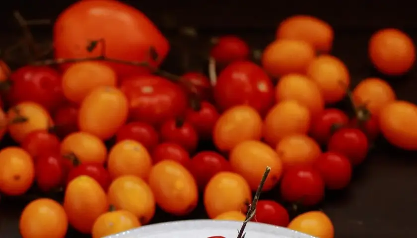 Prosty przepis na spaghetti ze świeżych pomidorów, które zachwyci smakami