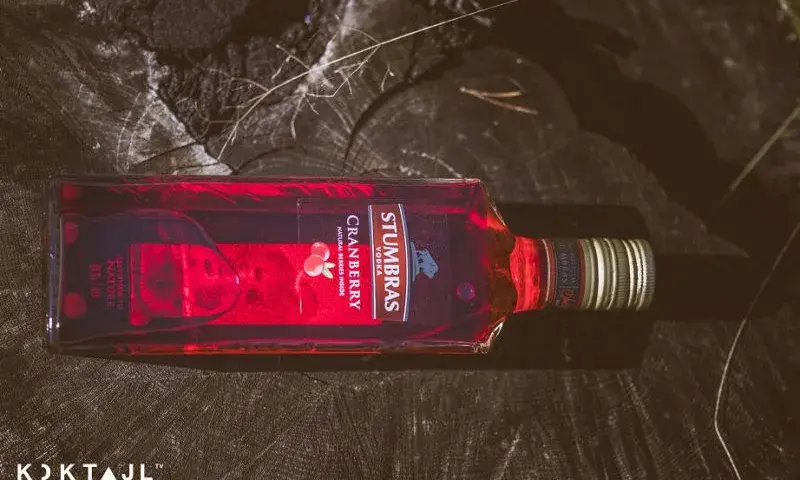 Pyszne drinki z wódki żurawinowej, które musisz spróbować
