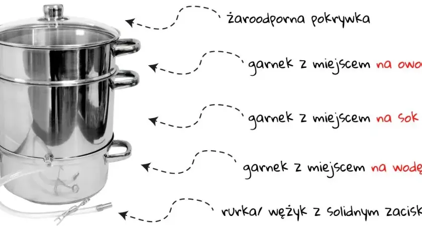 Jak zrobić sok z aroni w sokowniku - proste kroki do smaku zdrowia