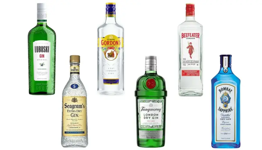 Jaki gin do drinków - wybierz najlepsze giny do koktajli i nie tylko