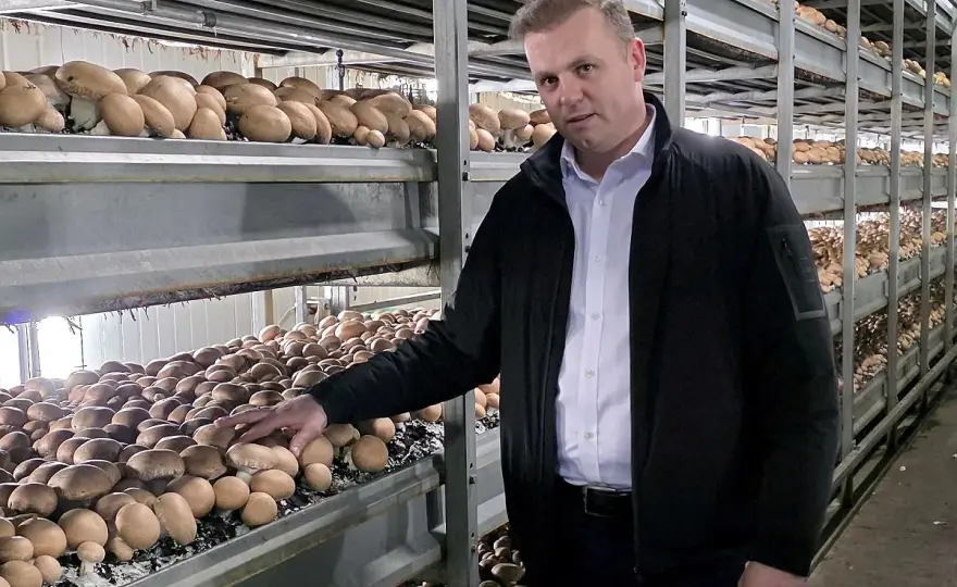 Lista przetwórni pieczarek w Polsce - 2026