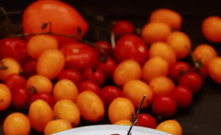 Prosty przepis na spaghetti ze świeżych pomidorów, które zachwyci smakami
