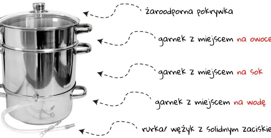 Jak zrobić sok z aroni w sokowniku - proste kroki do smaku zdrowia