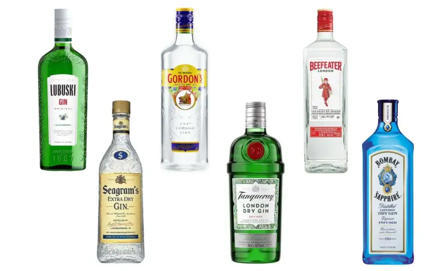 Jaki gin do drinków - wybierz najlepsze giny do koktajli i nie tylko